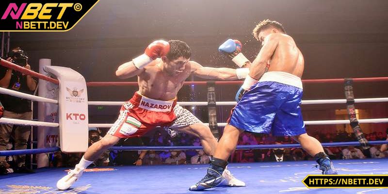 Thông tin về cá cược Boxing 