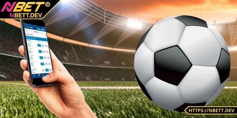 Cần nắm vững quy định cơ bản của nền tảng