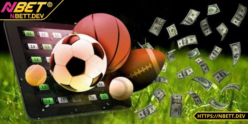 Mảng chơi không thể thiếu - Cược thể thao 