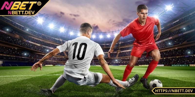 Tennis là môn hấp dẫn được nhiều người yêu thích