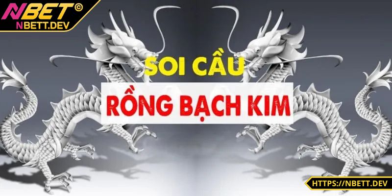 Soi cầu rồng bạch kim và ý nghĩa chi tiết