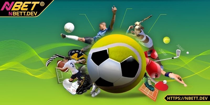 Cá cược tennis cung cấp những kèo không thể bỏ qua